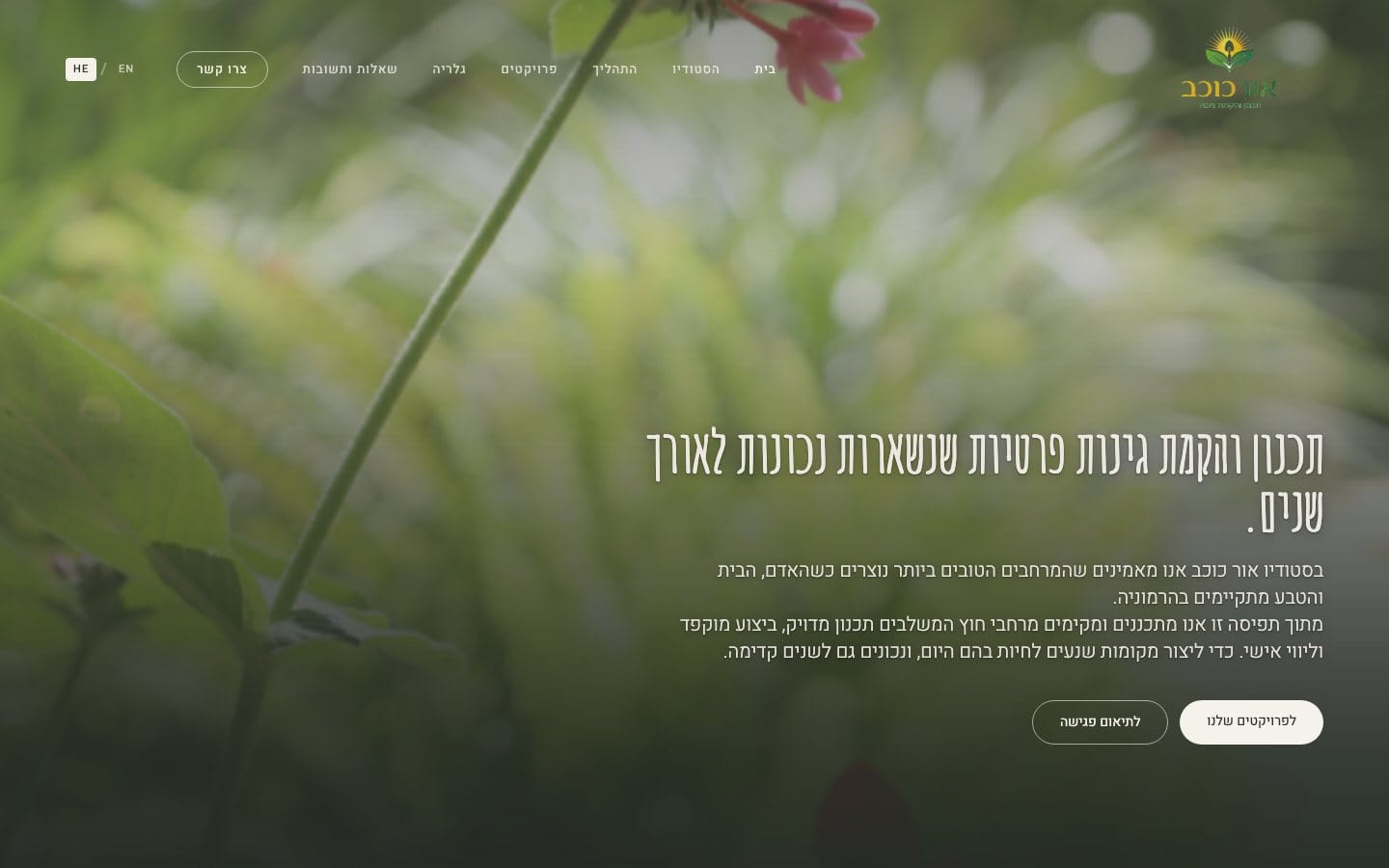 אור כוכב