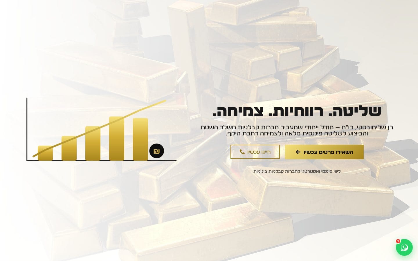 רן שליחובסקי